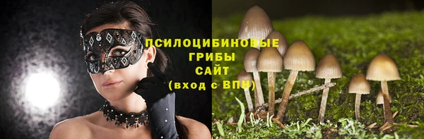 соль ск Беломорск