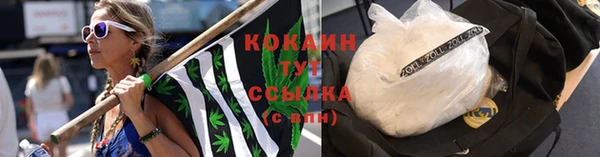 крисы Белоозёрский