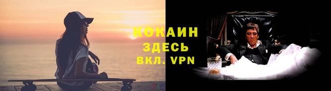 спиды Белокуриха