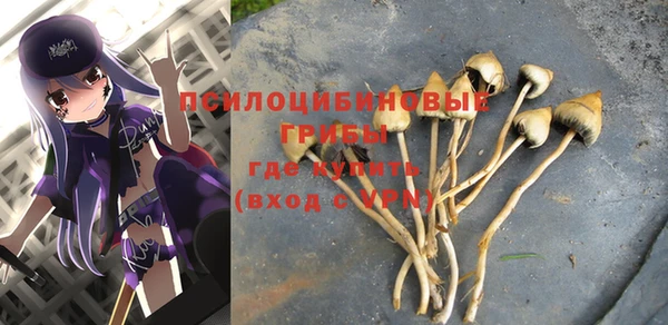 спиды Белокуриха