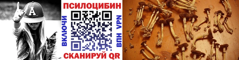 Псилоцибиновые грибы GOLDEN TEACHER  Верхоянск 